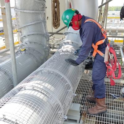 Plant Maintenance Service 21d